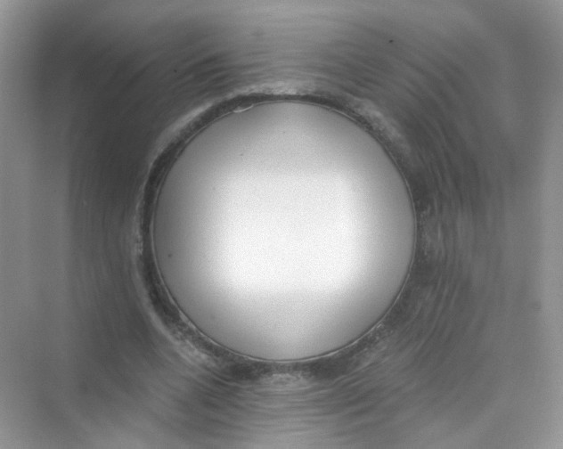 X0000069800536200606091811