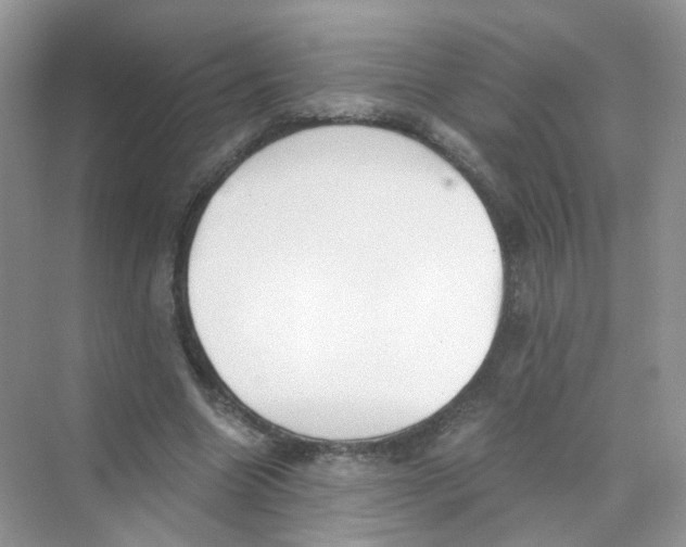 X0000069800538200606091811