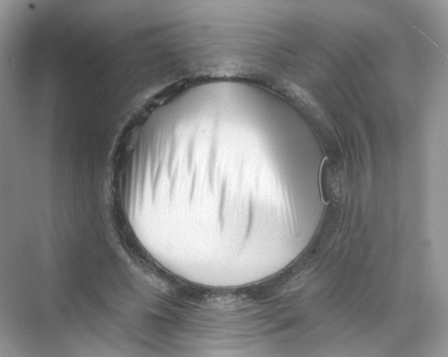 X0000069800540200606091811