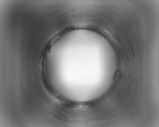 X0000069800543200606091811
