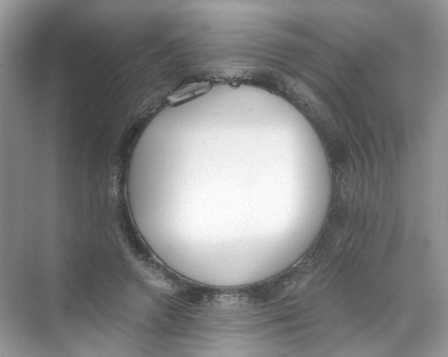X0000069800546200606091811