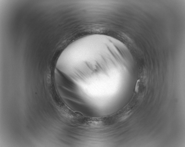 X0000069800552200606091811