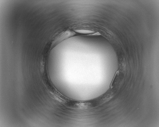 X0000069800558200606091812
