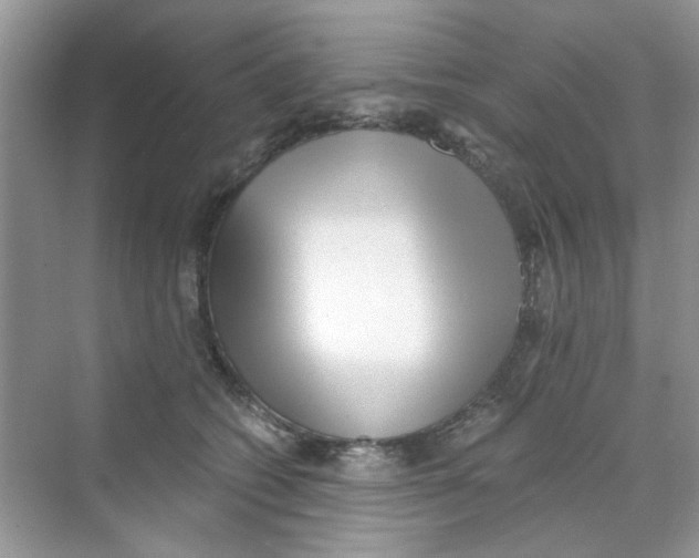 X0000069800562200606091812
