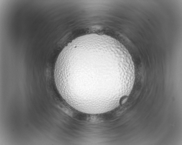 X0000069800565200606091812