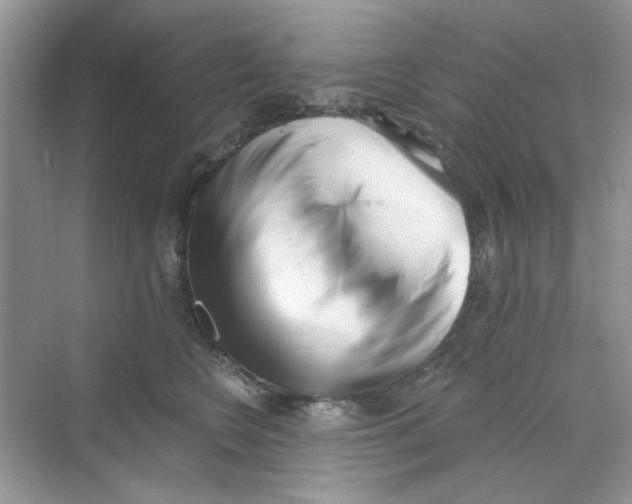 X0000069800566200606091812