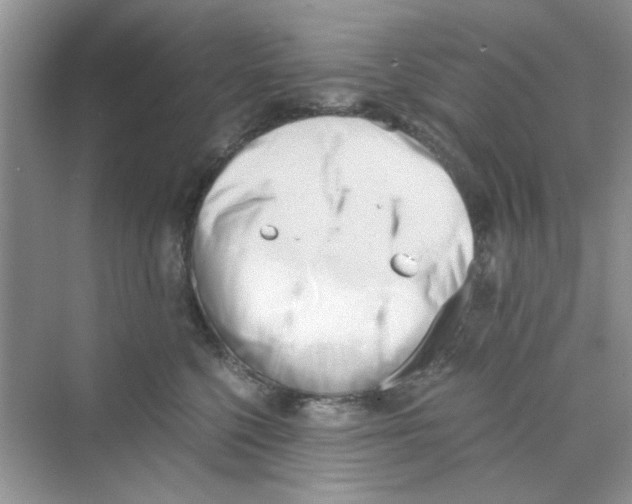 X0000069800568200606091812