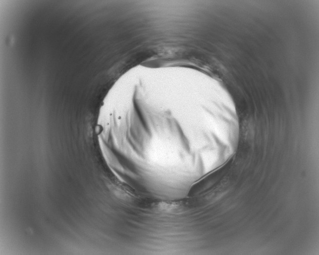 X0000069800570200606091812