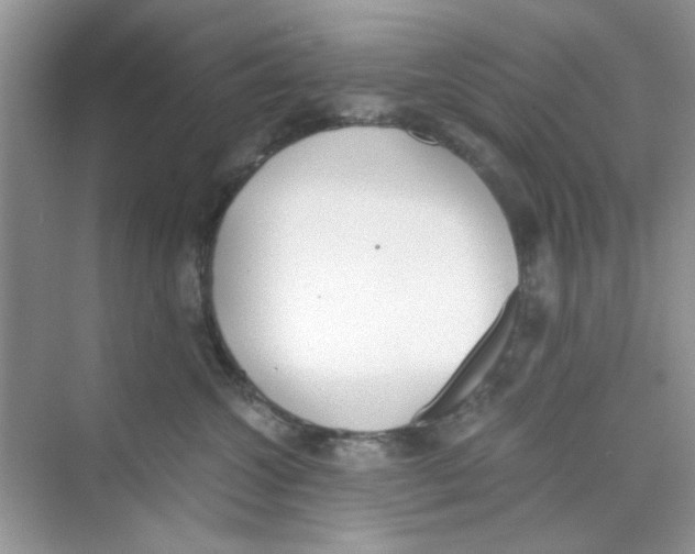 X0000069800572200606091812