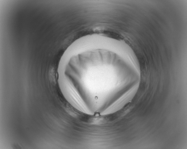 X0000069800575200606091812