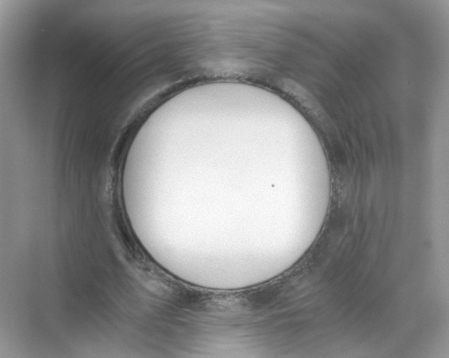 X0000069800583200606091811