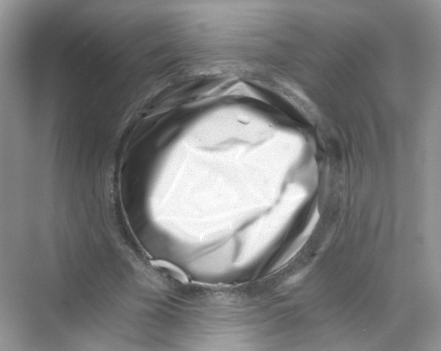 X0000069800585200606091811