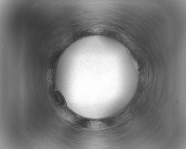 X0000069800605200606091811