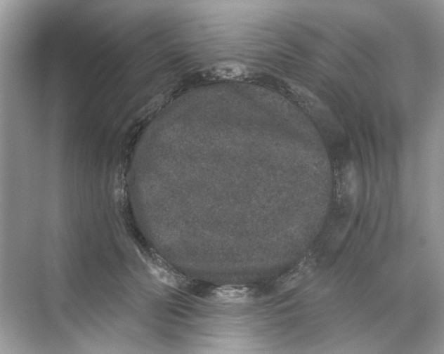 X0000069800606200606091811