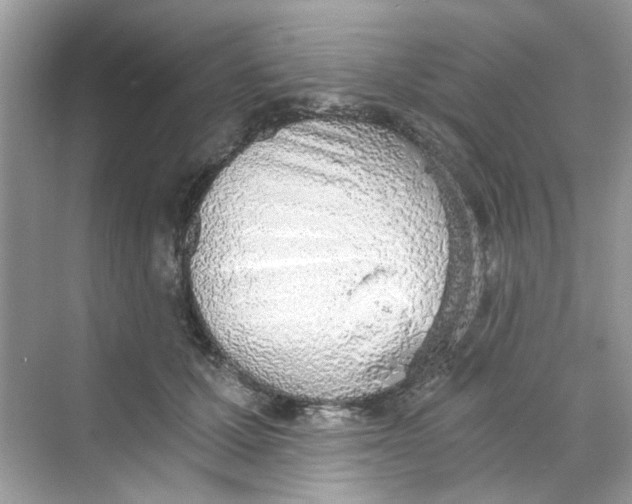 X0000069800607200606091811