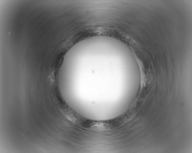 X0000069800611200606091811