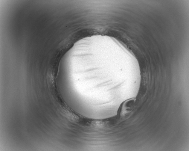 X0000069800613200606091810