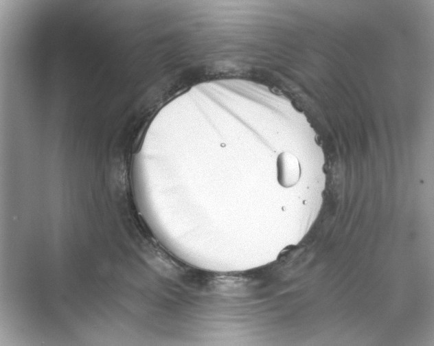 X0000069800617200606091810