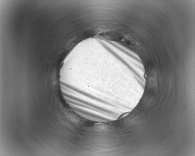 X0000069800620200606091810