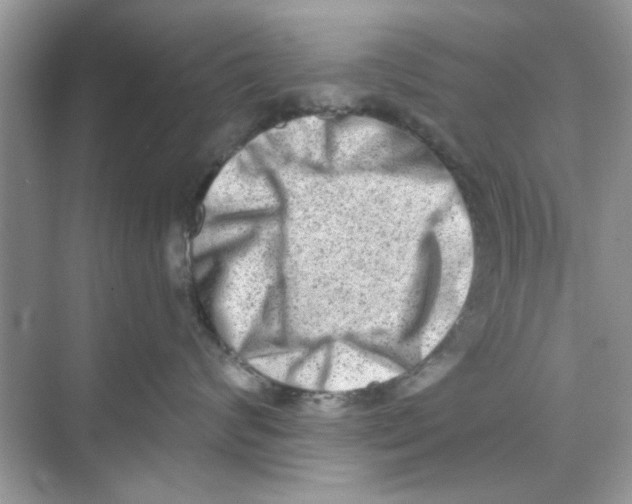 X0000069800624200606091810