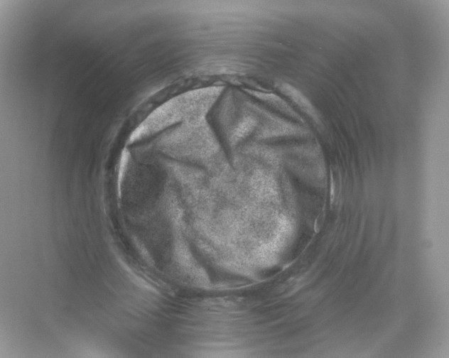 X0000069800627200606091810