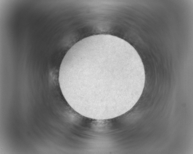 X0000069800672200606091810