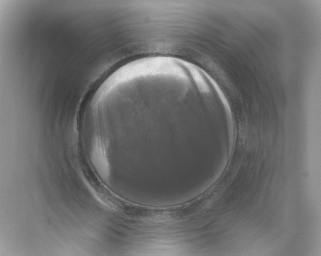 X0000069800674200606091809