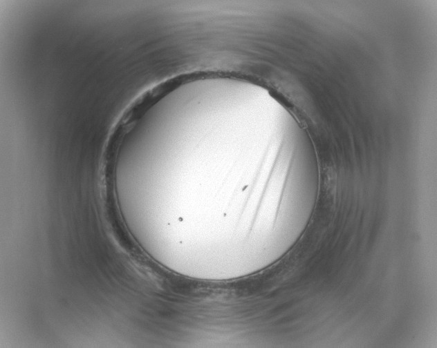 X0000069800676200606091809