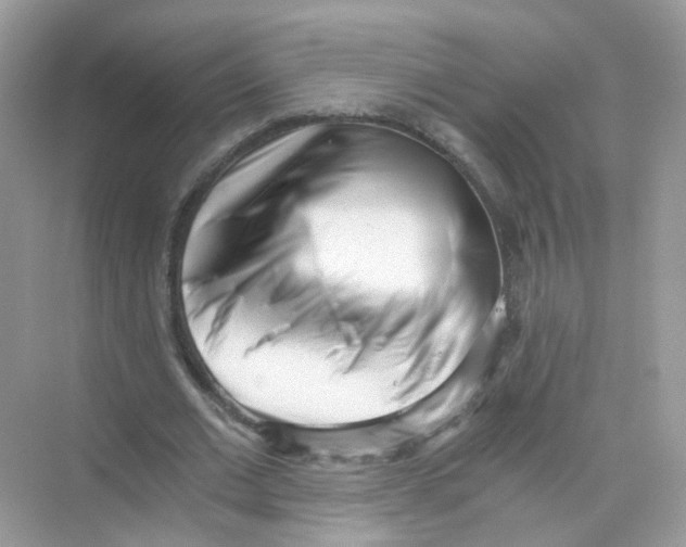 X0000069800677200606091809