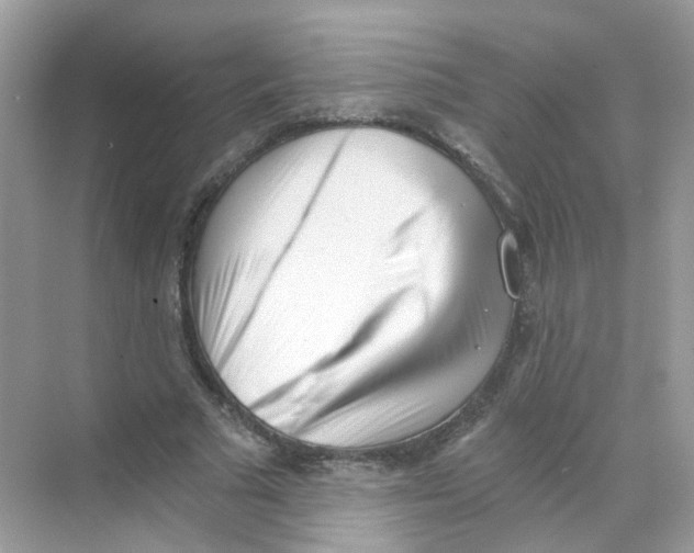 X0000069800681200606091809