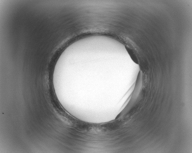 X0000069800684200606091809