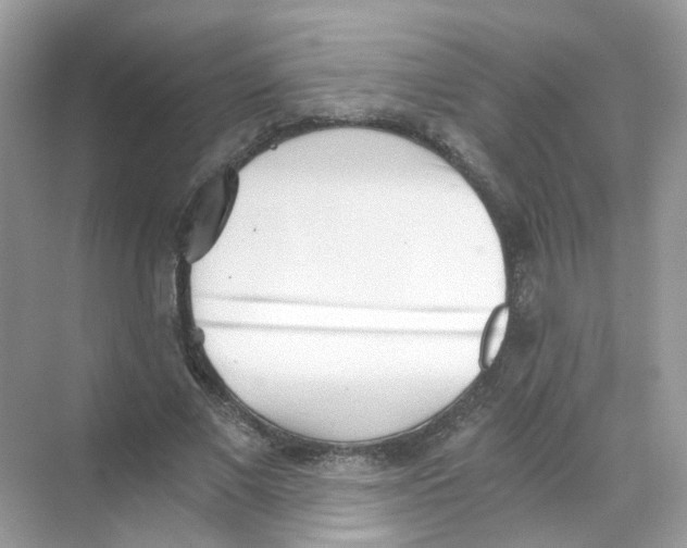 X0000069800685200606091809