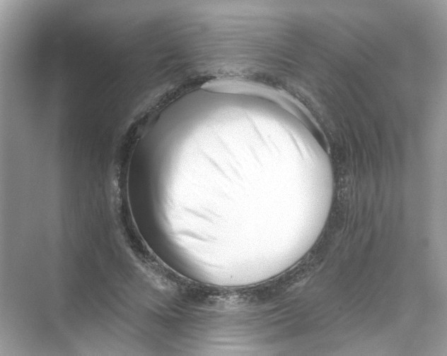 X0000069800688200606091809