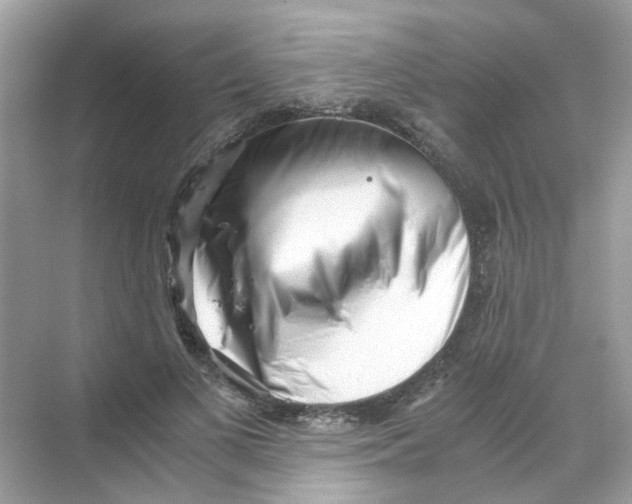 X0000069800693200606091809