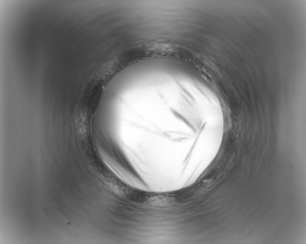 X0000069800708200606091809