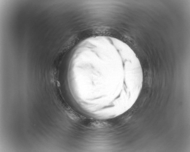 X0000069800712200606091809
