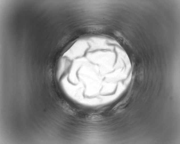 X0000069800716200606091809