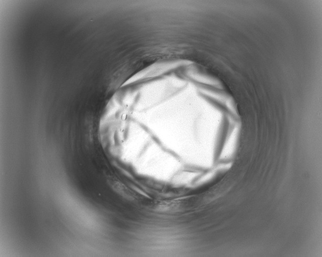 X0000069800720200606091809
