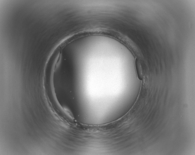 X0000069800724200606091808