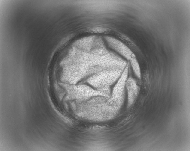 X0000069800734200606091808