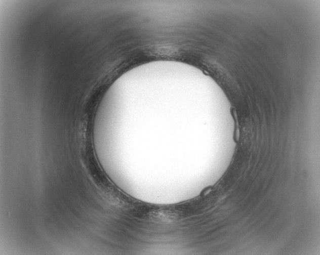 X0000069800739200606091808