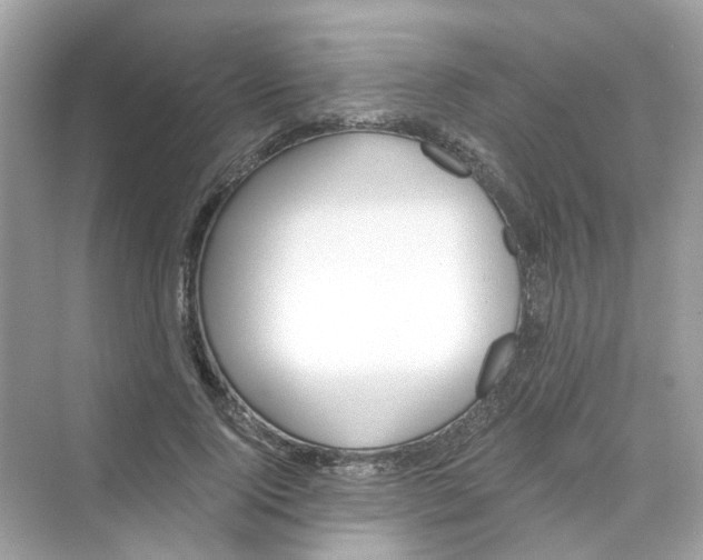 X0000069800740200606091808