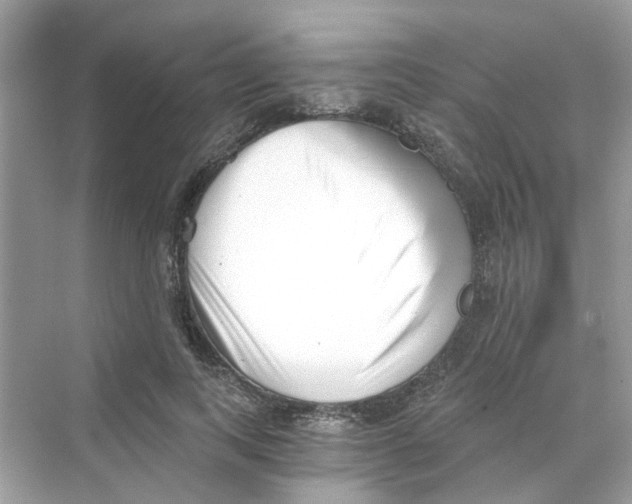 X0000069800743200606091808