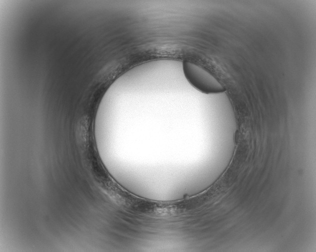 X0000069800744200606091808