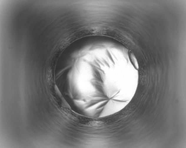 X0000069800748200606091808
