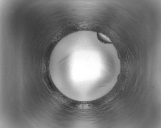 X0000069800751200606091808