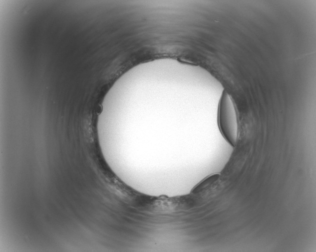 X0000069800764200606091809