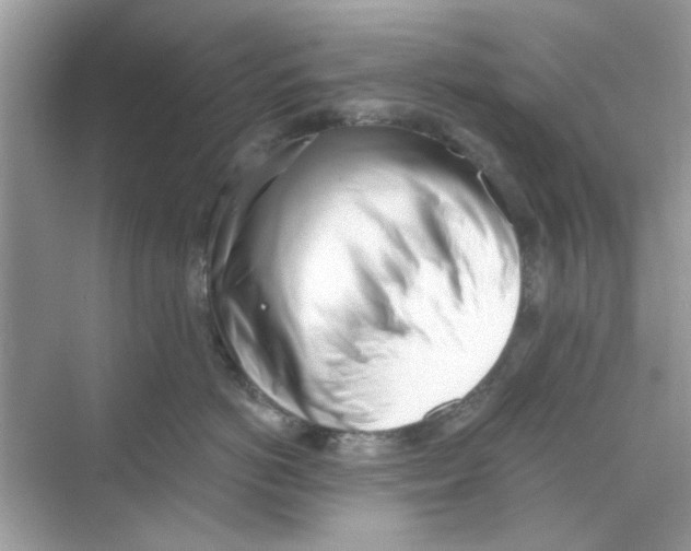 X0000069800766200606091809