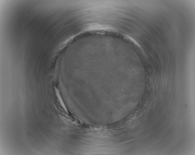 X0000069800775200606091808
