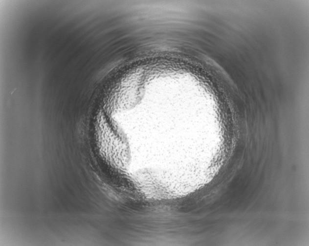 X0000069800785200606091808